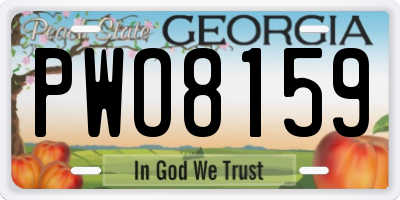 GA license plate PWO8159