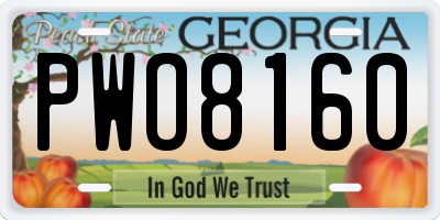 GA license plate PWO8160