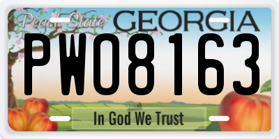 GA license plate PWO8163