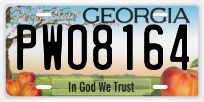 GA license plate PWO8164