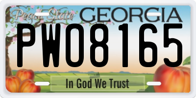 GA license plate PWO8165