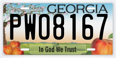 GA license plate PWO8167