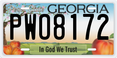 GA license plate PWO8172