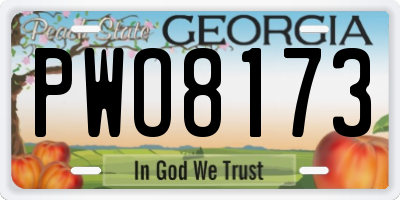 GA license plate PWO8173