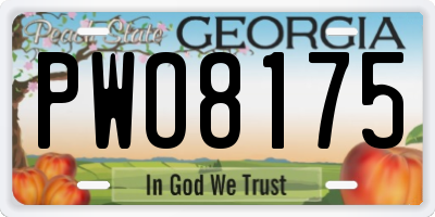 GA license plate PWO8175
