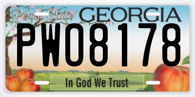 GA license plate PWO8178