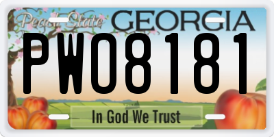 GA license plate PWO8181