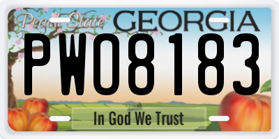 GA license plate PWO8183