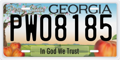 GA license plate PWO8185