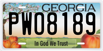 GA license plate PWO8189