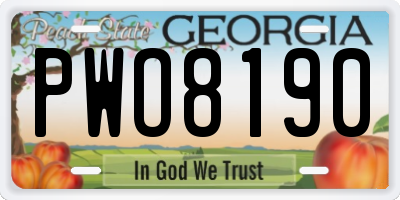 GA license plate PWO8190