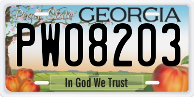 GA license plate PWO8203