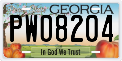 GA license plate PWO8204
