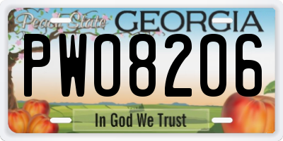 GA license plate PWO8206
