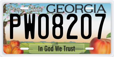 GA license plate PWO8207