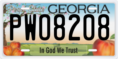 GA license plate PWO8208