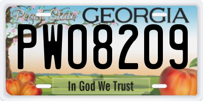 GA license plate PWO8209