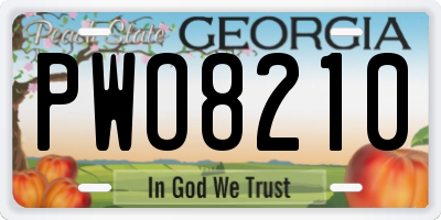 GA license plate PWO8210
