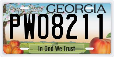 GA license plate PWO8211