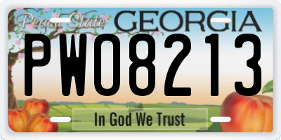 GA license plate PWO8213