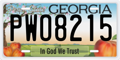 GA license plate PWO8215