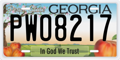 GA license plate PWO8217