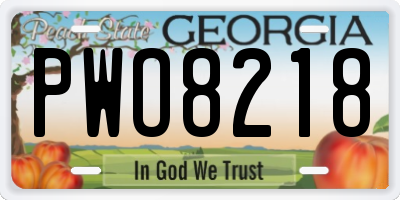 GA license plate PWO8218