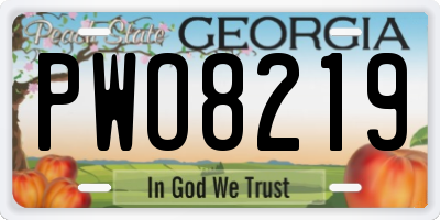 GA license plate PWO8219