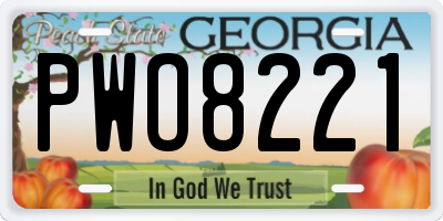 GA license plate PWO8221