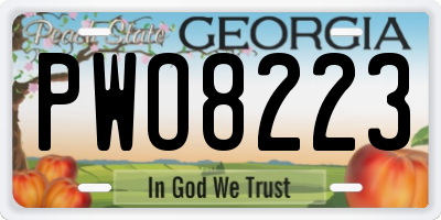 GA license plate PWO8223