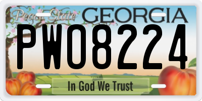 GA license plate PWO8224