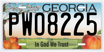 GA license plate PWO8225