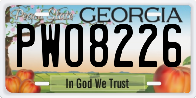 GA license plate PWO8226