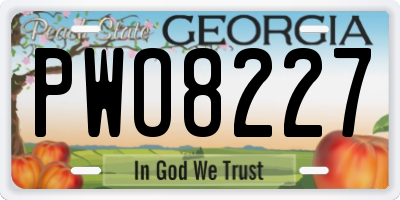 GA license plate PWO8227