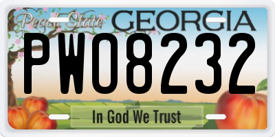 GA license plate PWO8232