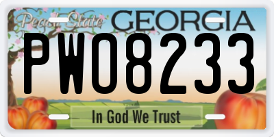 GA license plate PWO8233