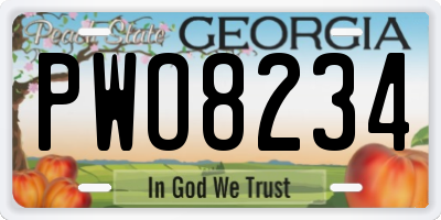 GA license plate PWO8234