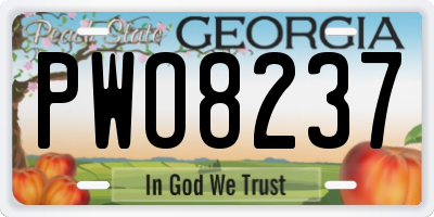 GA license plate PWO8237