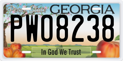 GA license plate PWO8238