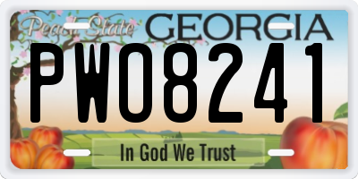 GA license plate PWO8241