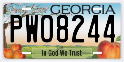 GA license plate PWO8244