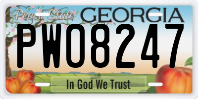 GA license plate PWO8247