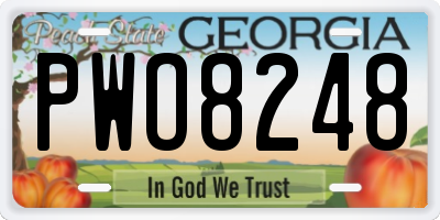 GA license plate PWO8248