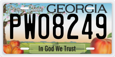 GA license plate PWO8249