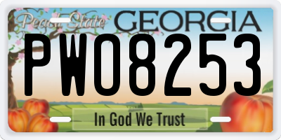GA license plate PWO8253
