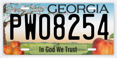 GA license plate PWO8254
