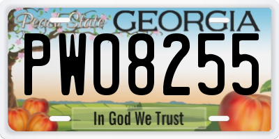 GA license plate PWO8255
