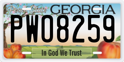 GA license plate PWO8259