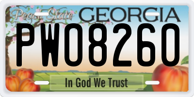 GA license plate PWO8260