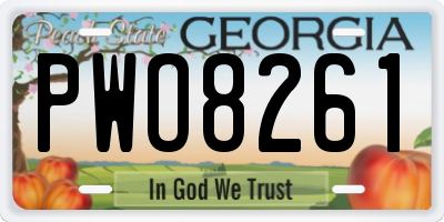 GA license plate PWO8261